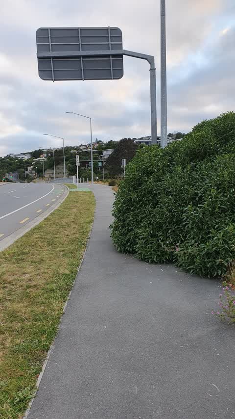 Roading/Streets, a report photo
