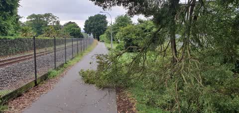 Roading/Streets — a report photo