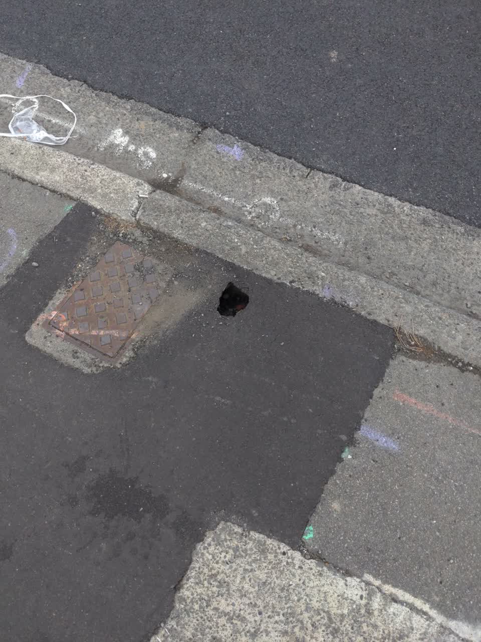 The photograph attached to this roading/streets report