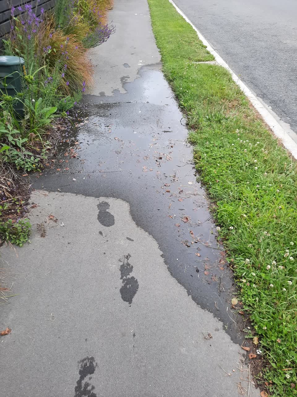 The photograph attached to this water leak report