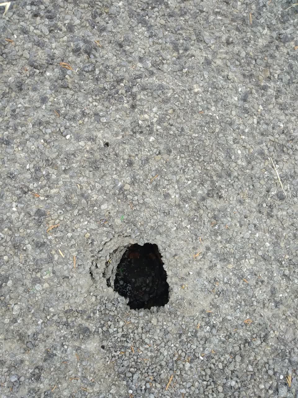 The photograph attached to this roading/streets report