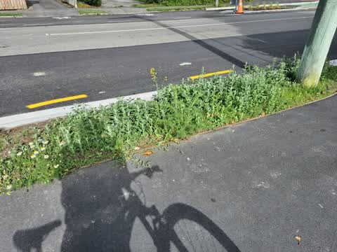 Roading/Streets, a report photo