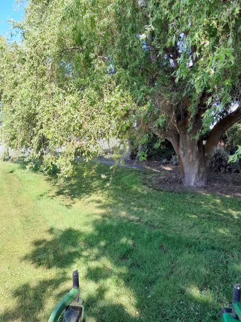 Parks, a report photo