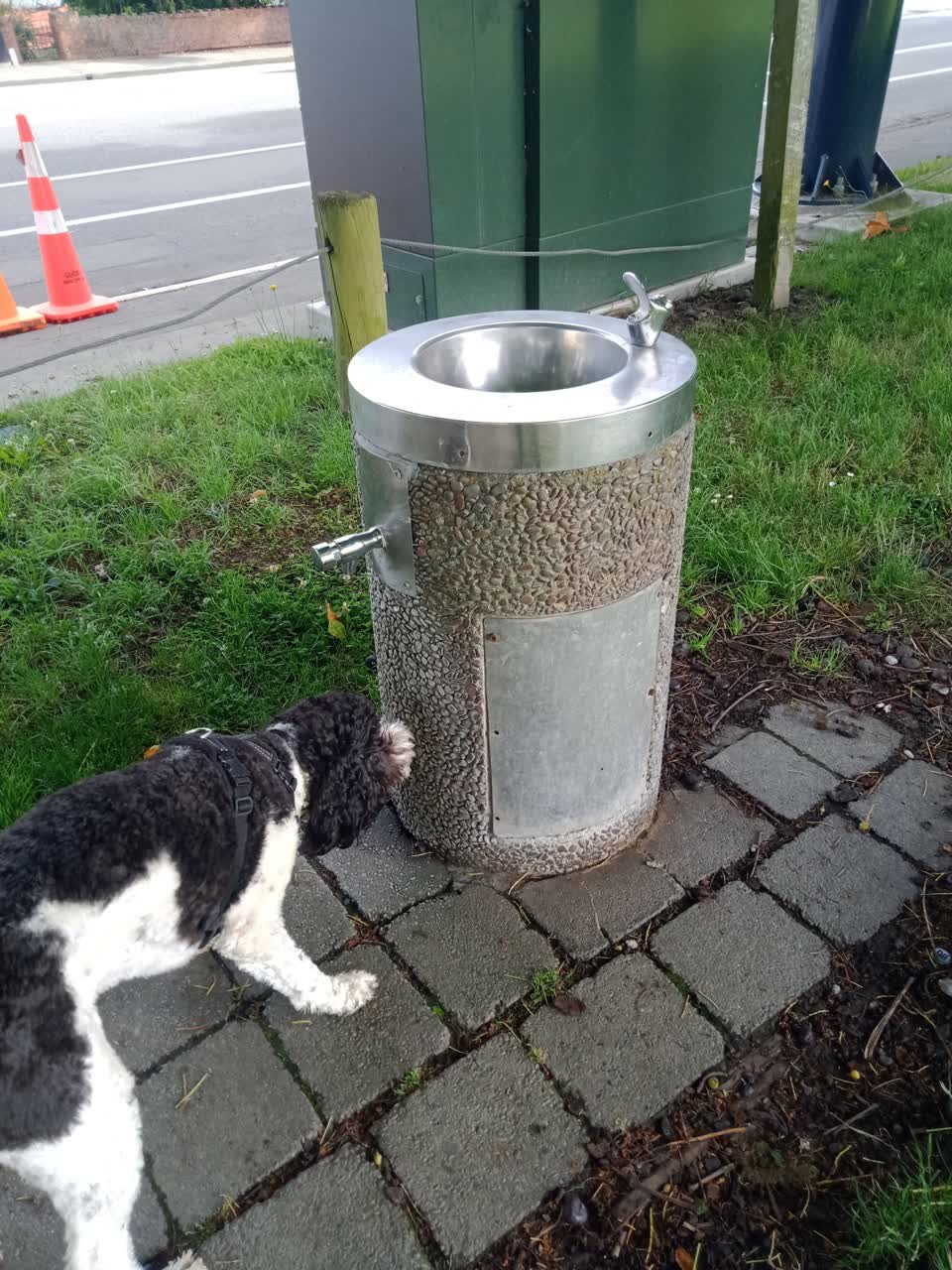 The photograph attached to this water supply report