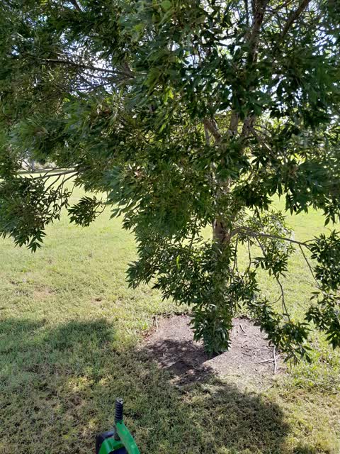 Parks, a report photo
