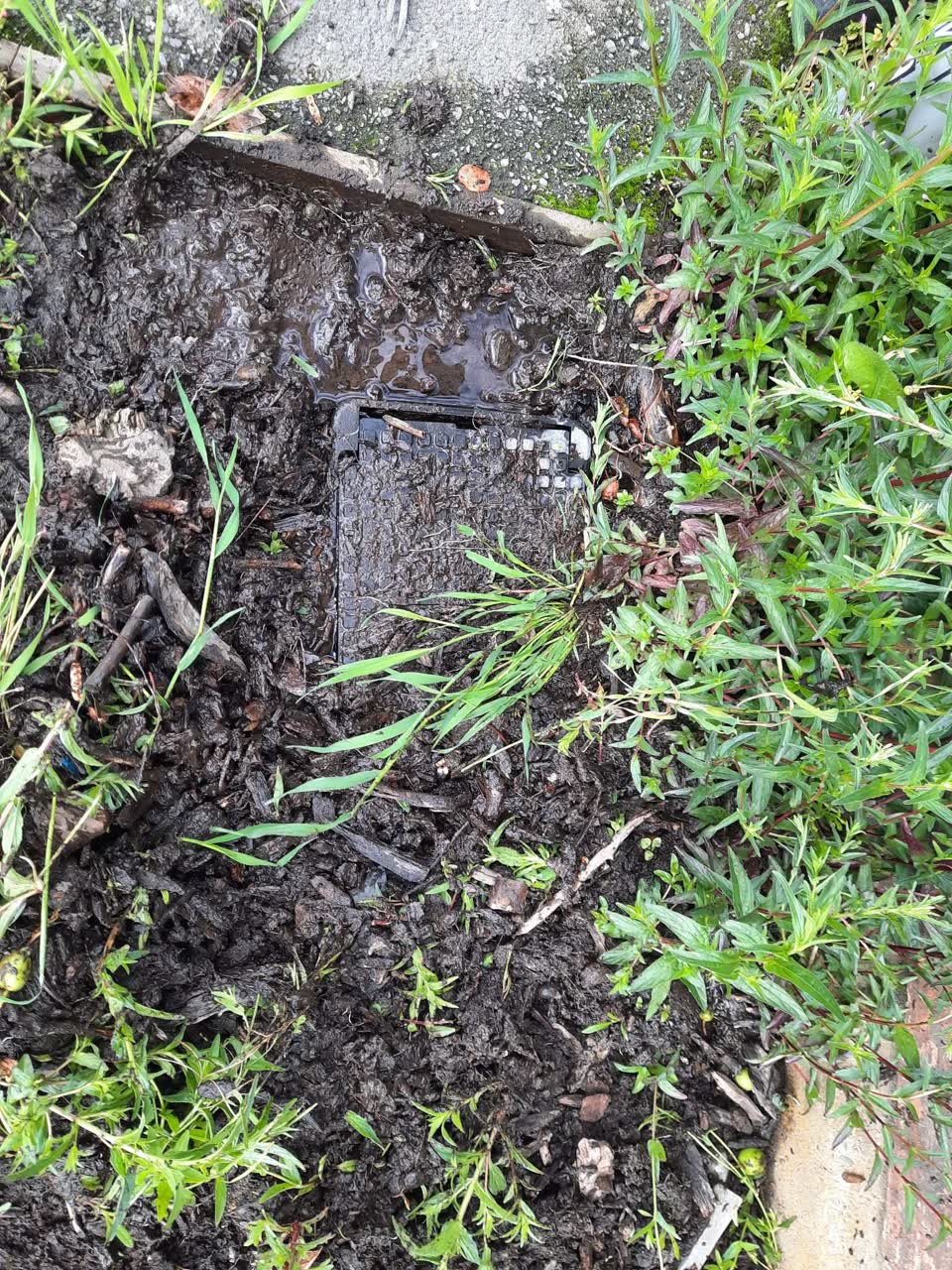 The photograph attached to this water leak report