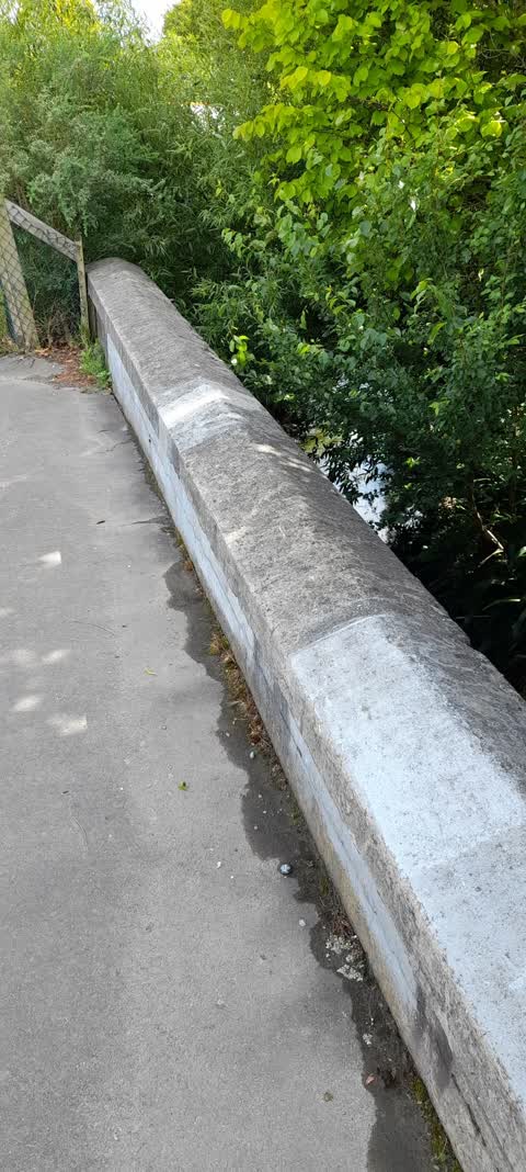 Roading/Streets, a report photo