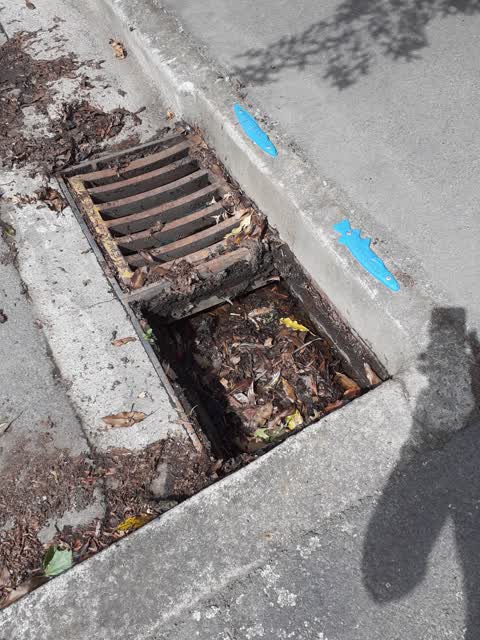 Roading/Streets, a report photo