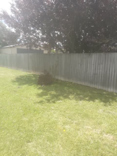 Parks, a report photo