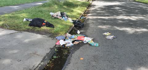 Rubbish/Recycling, a report photo