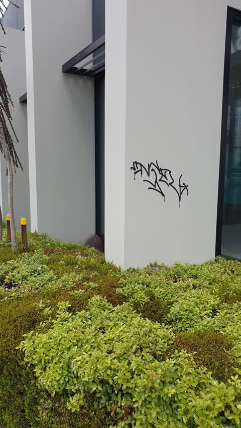 Graffiti, a report photo