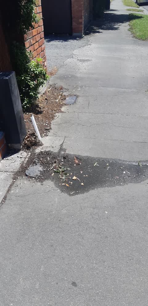 Water Leak, a report photo