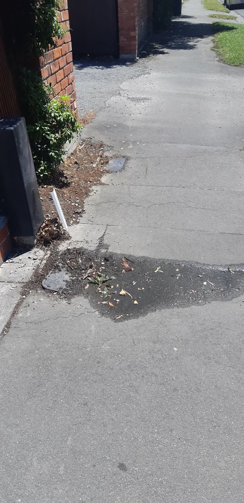 The photograph attached to this water leak report