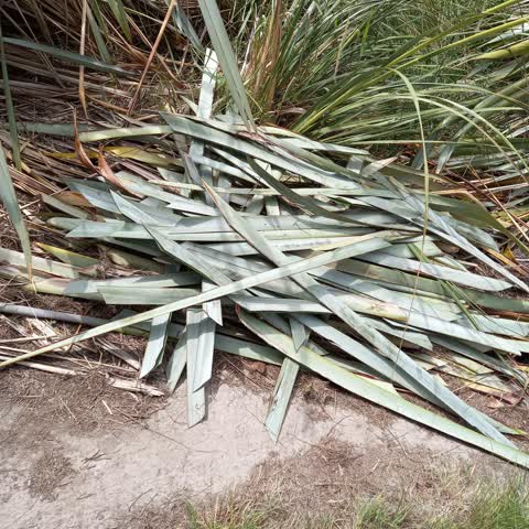 Rubbish/Recycling, a report photo