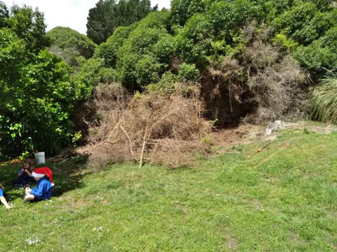 Parks, a report photo