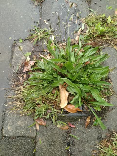 Wastewater/Stormwater, a report photo