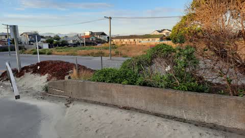 Parks — a report photo