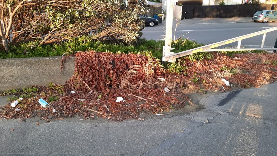 The photograph attached to this parks report