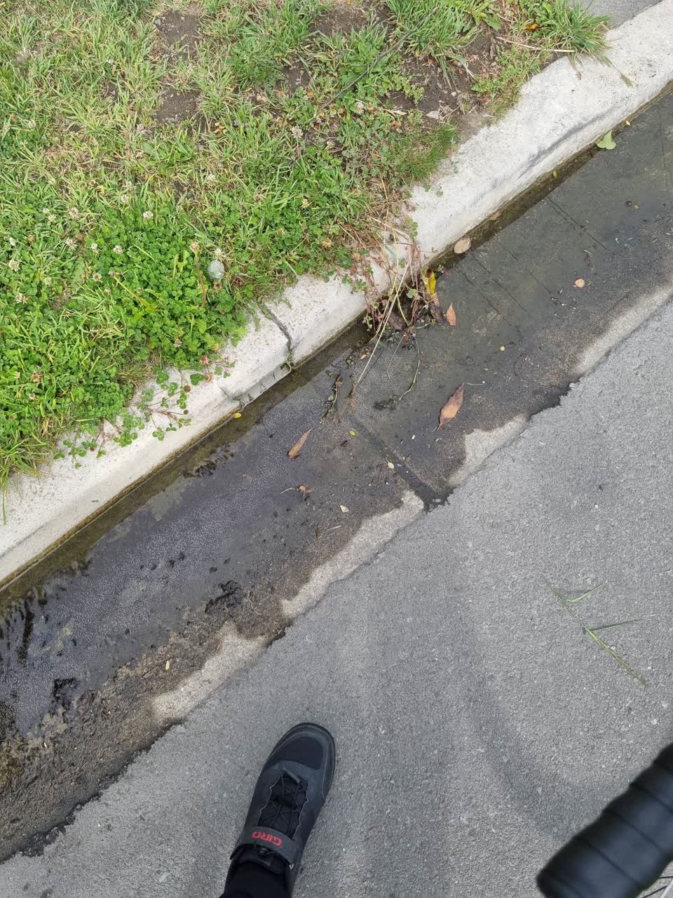 The photograph attached to this water leak report
