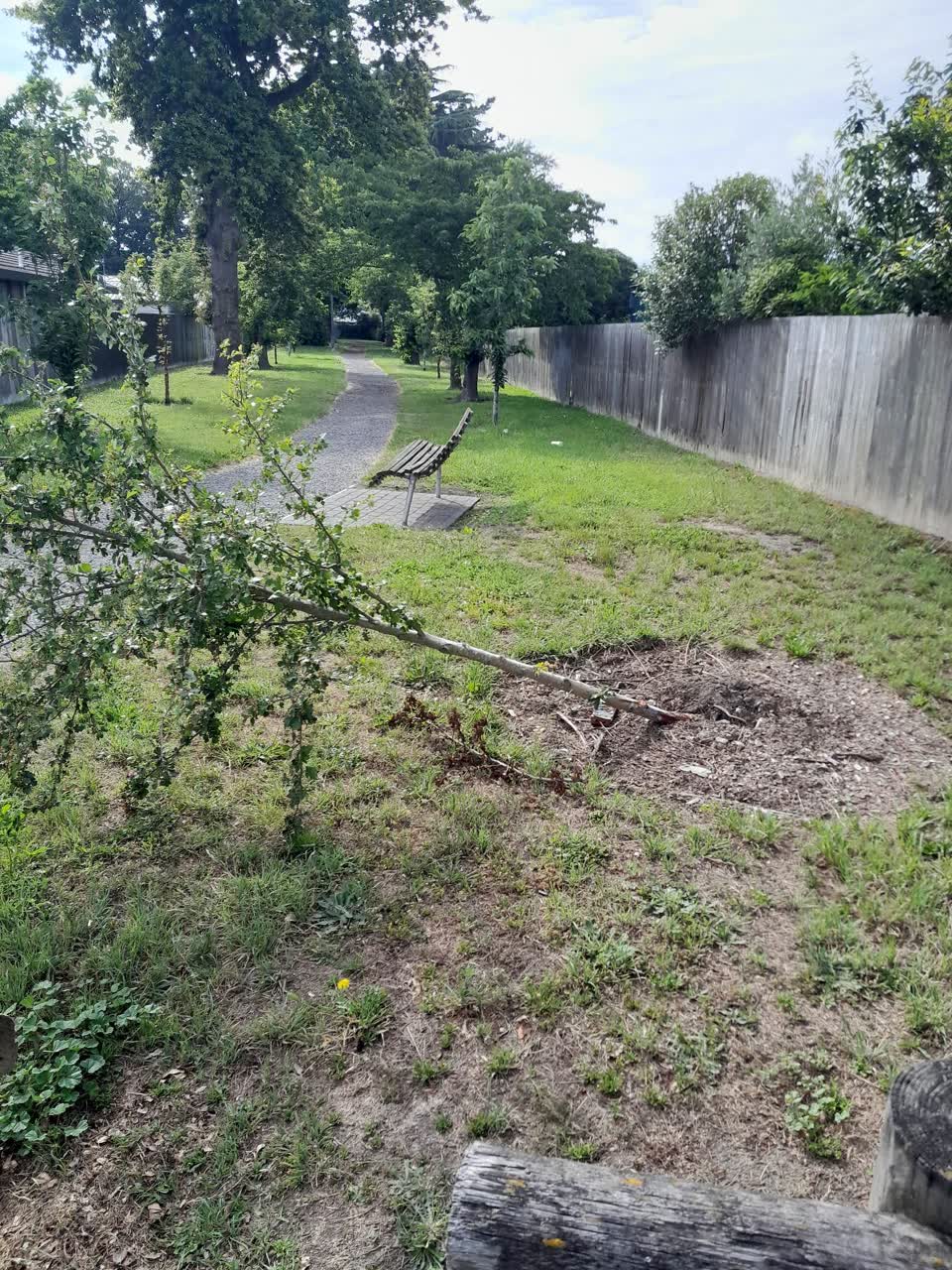 The photograph attached to this parks report