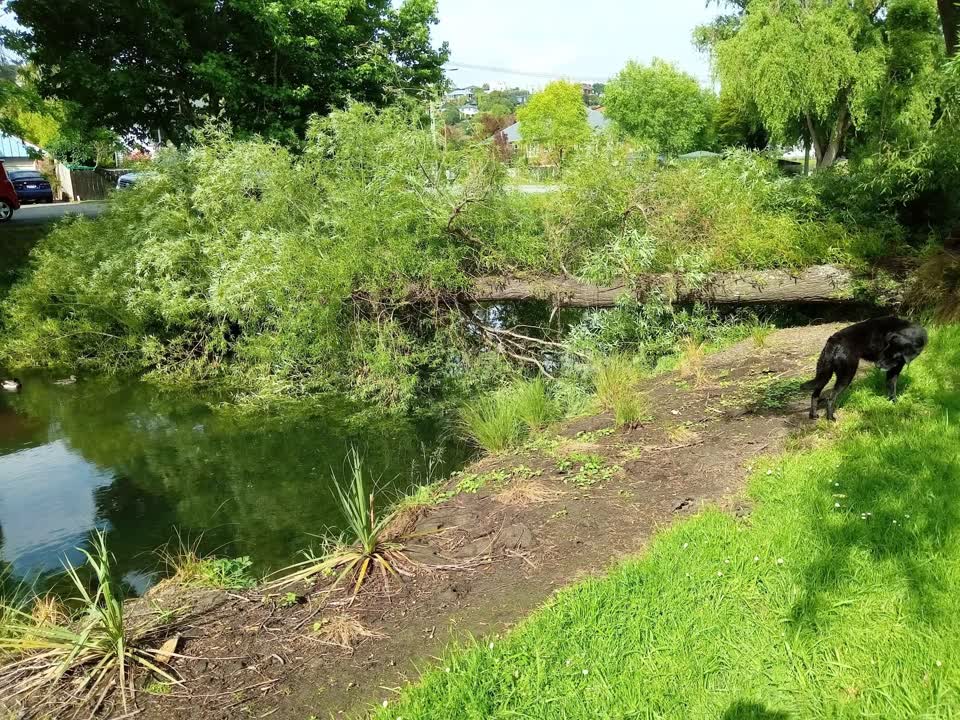 The photograph attached to this parks report