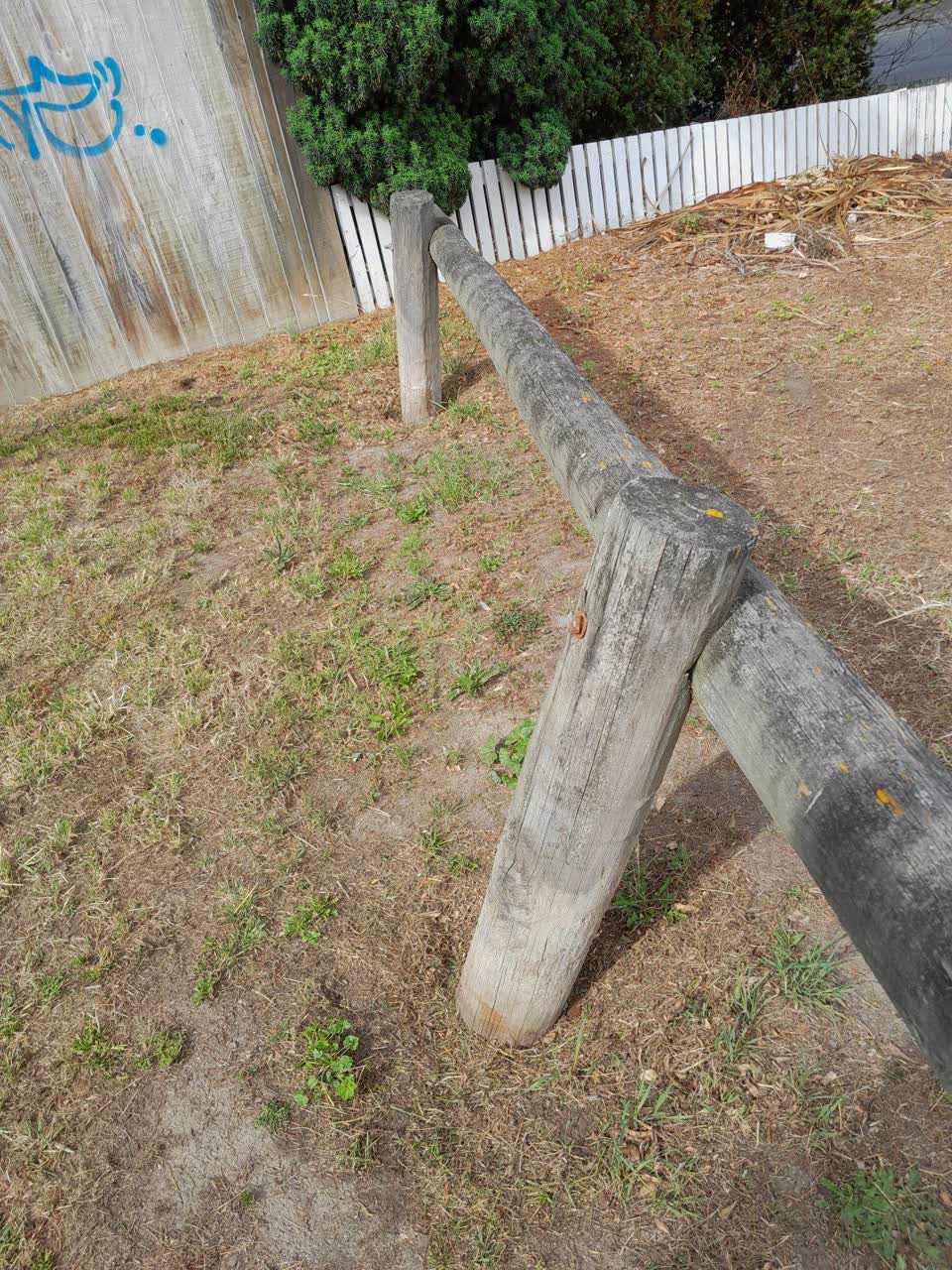 The photograph attached to this parks report