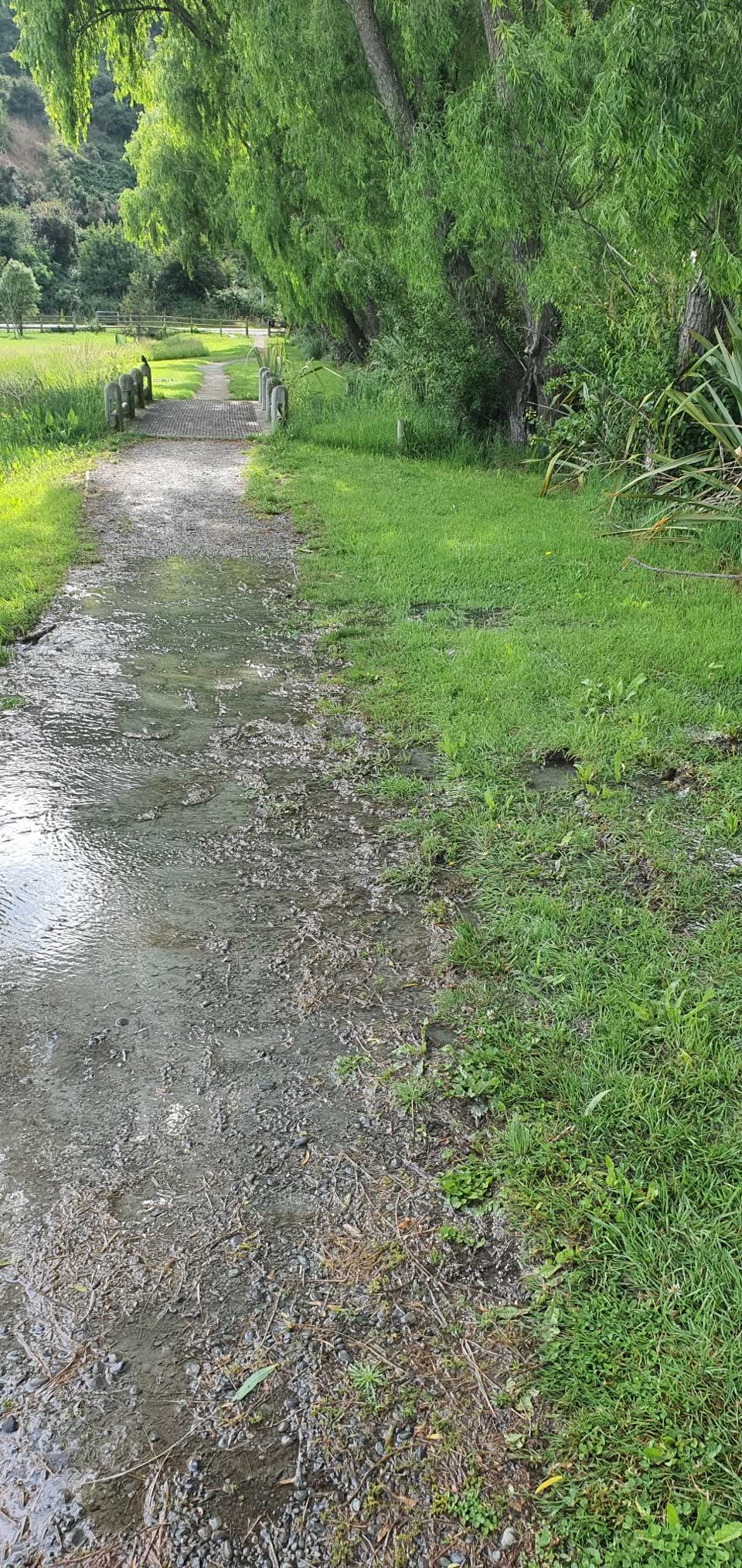 The photograph attached to this water leak report