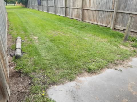 Parks, a report photo