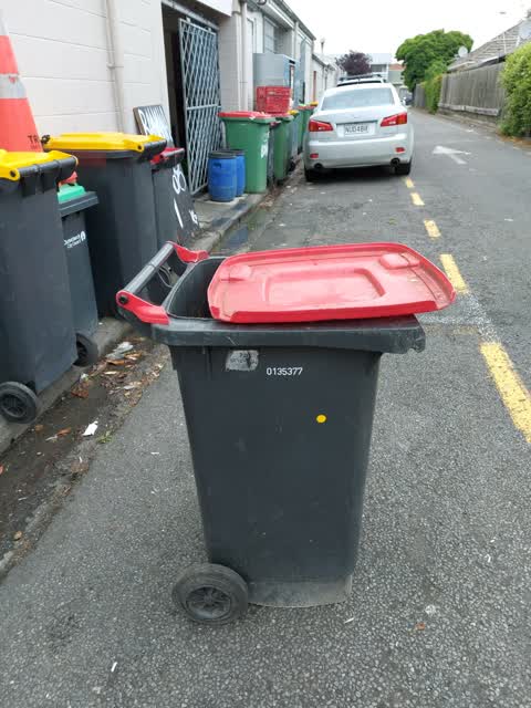 Rubbish/Recycling, a report photo