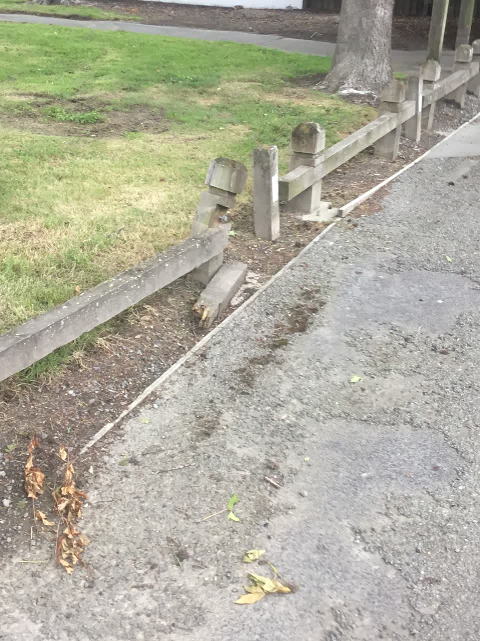 The photograph attached to this parks report