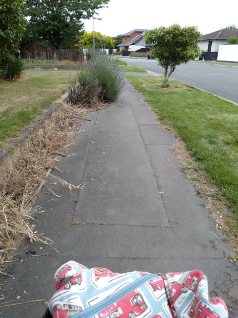 Roading/Streets, a report photo
