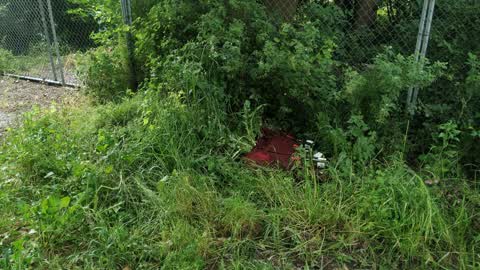 Rubbish/Recycling, a report photo