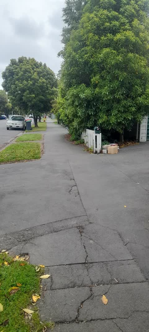 Roading/Streets, a report photo