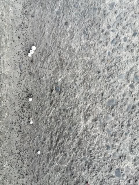 General Request, a report photo