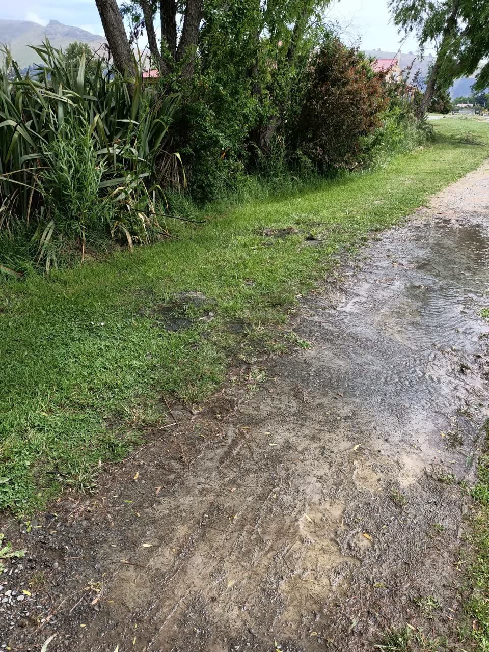 The photograph attached to this water leak report