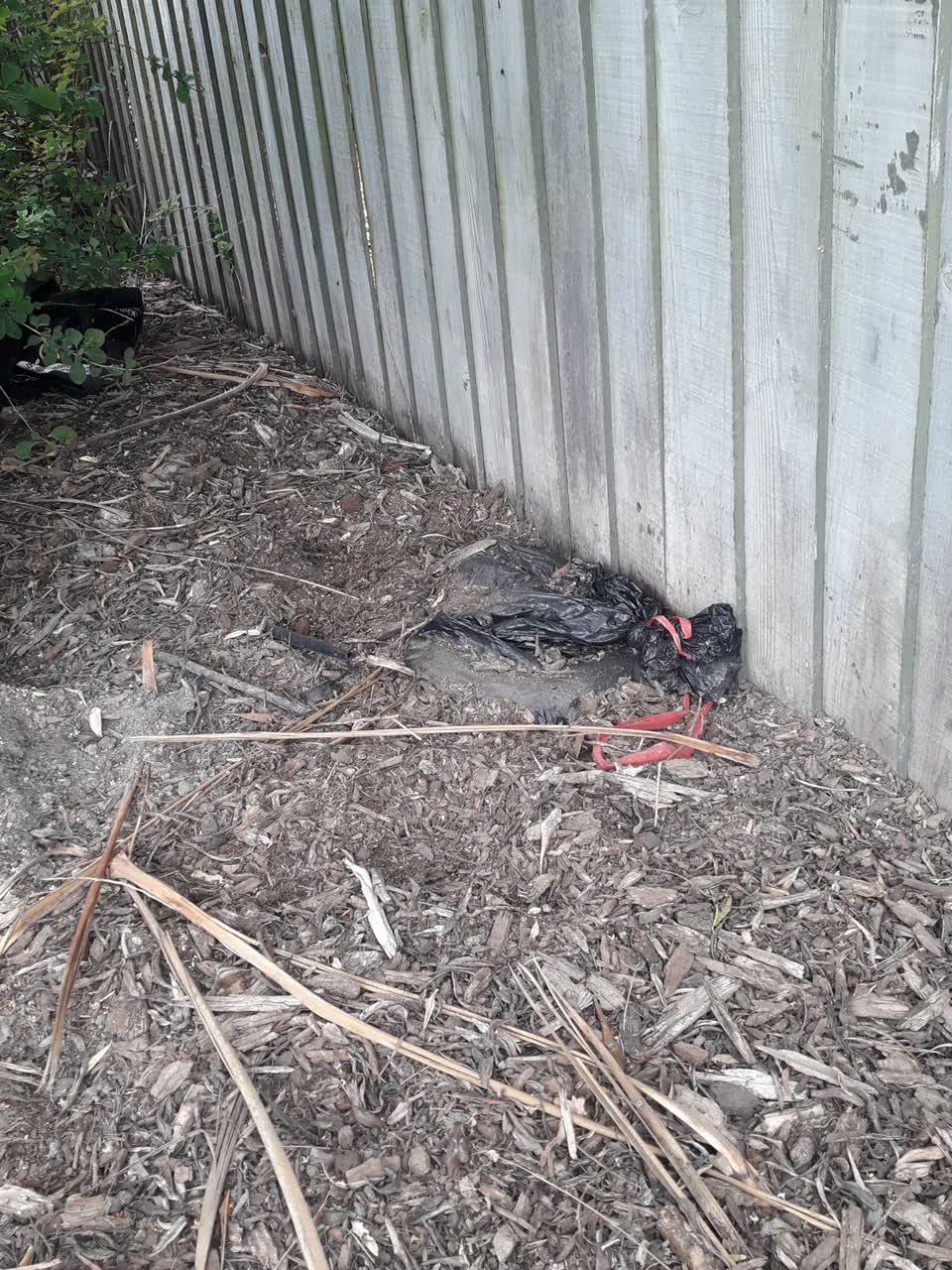 The photograph attached to this parks report