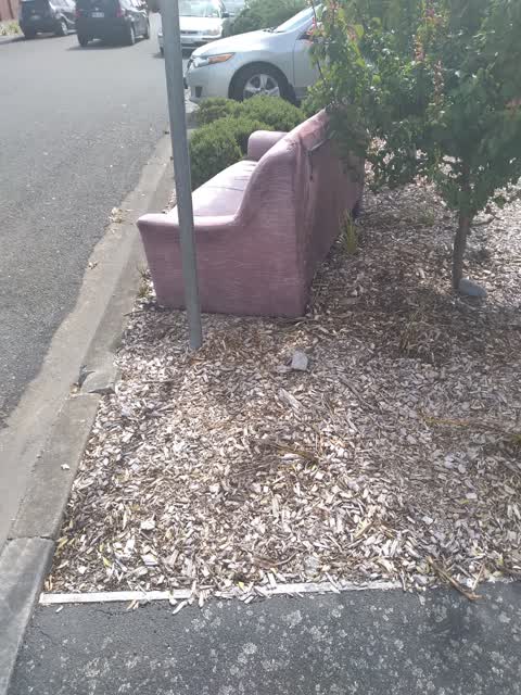 Rubbish/Recycling, a report photo