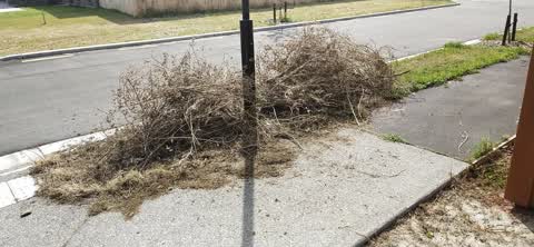 Roading/Streets, a report photo