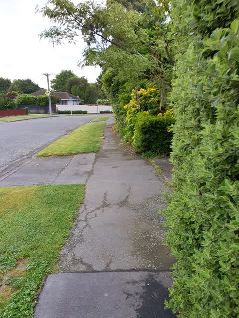 Roading/Streets, a report photo