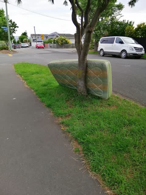 Rubbish/Recycling, a report photo