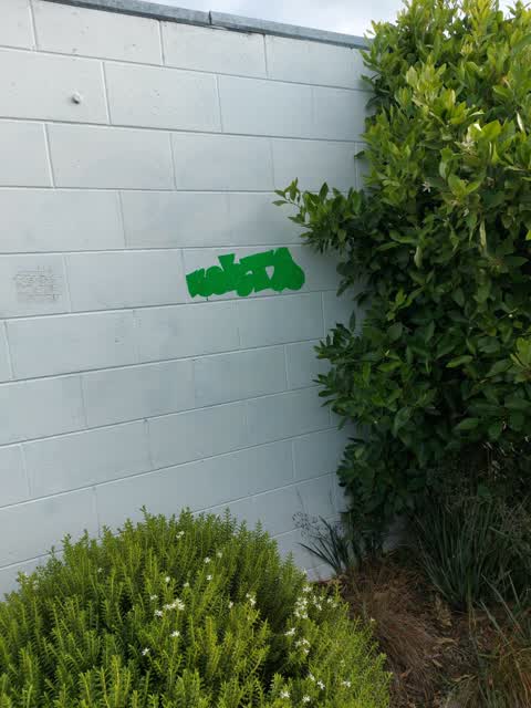 Graffiti, a report photo
