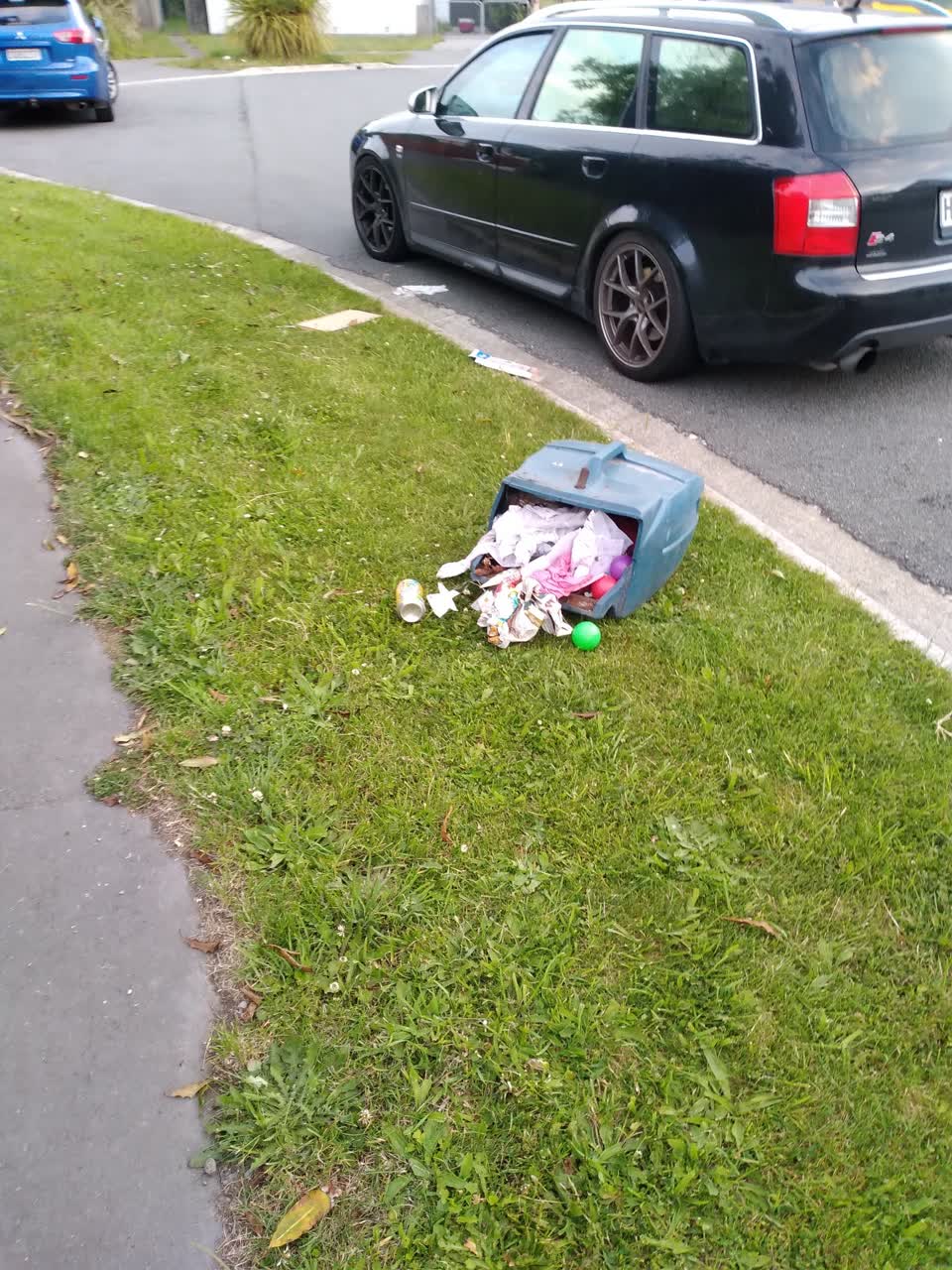 The photograph attached to this rubbish/recycling report