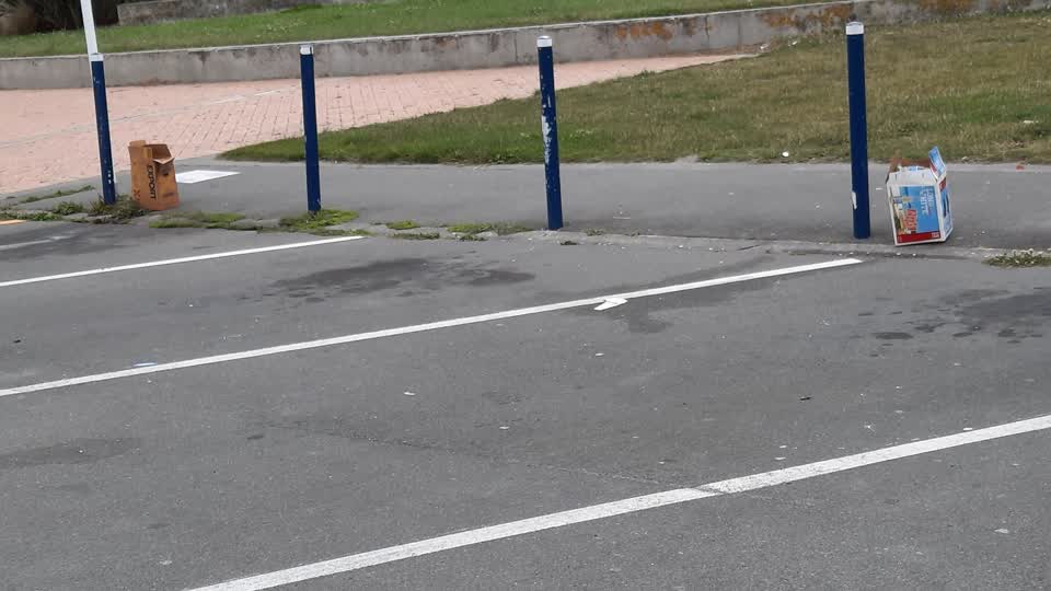 The photograph attached to this parks report