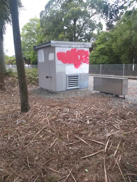 Graffiti — a report photo