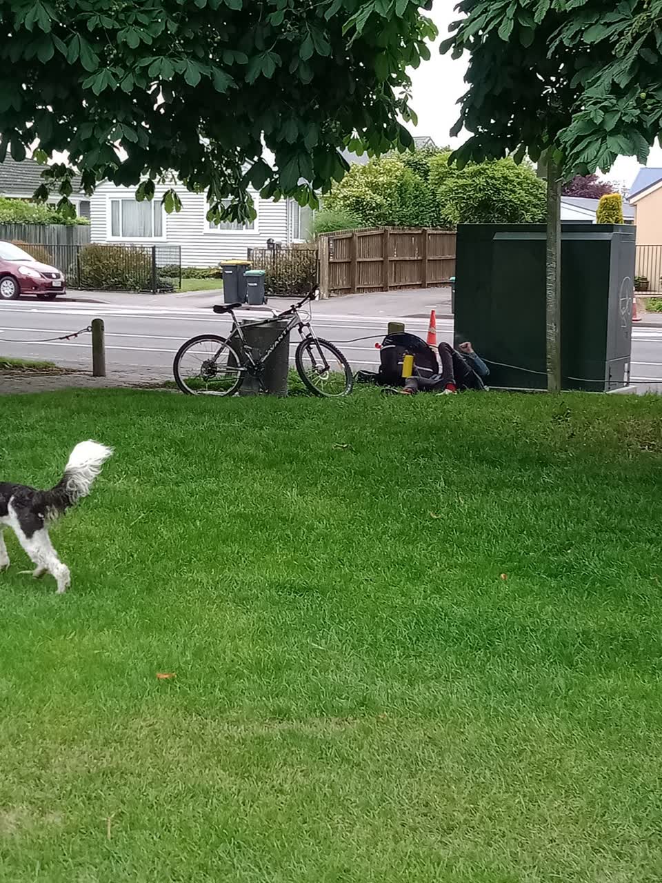 The photograph attached to this parks report