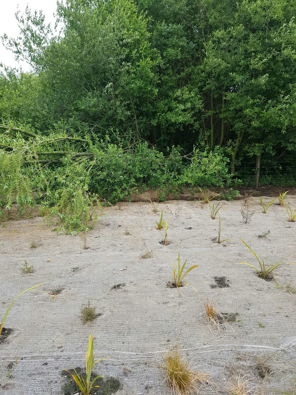 The photograph attached to this parks report