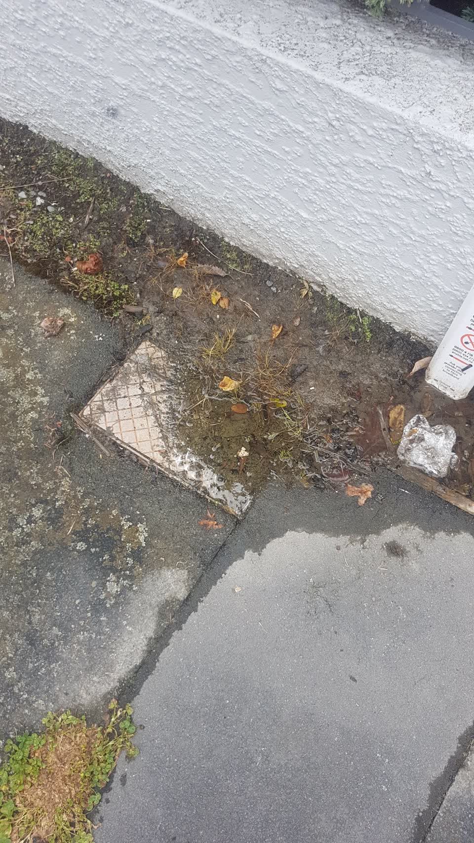 The photograph attached to this water leak report