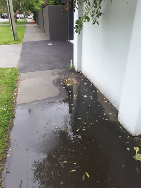 Water Leak, a report photo