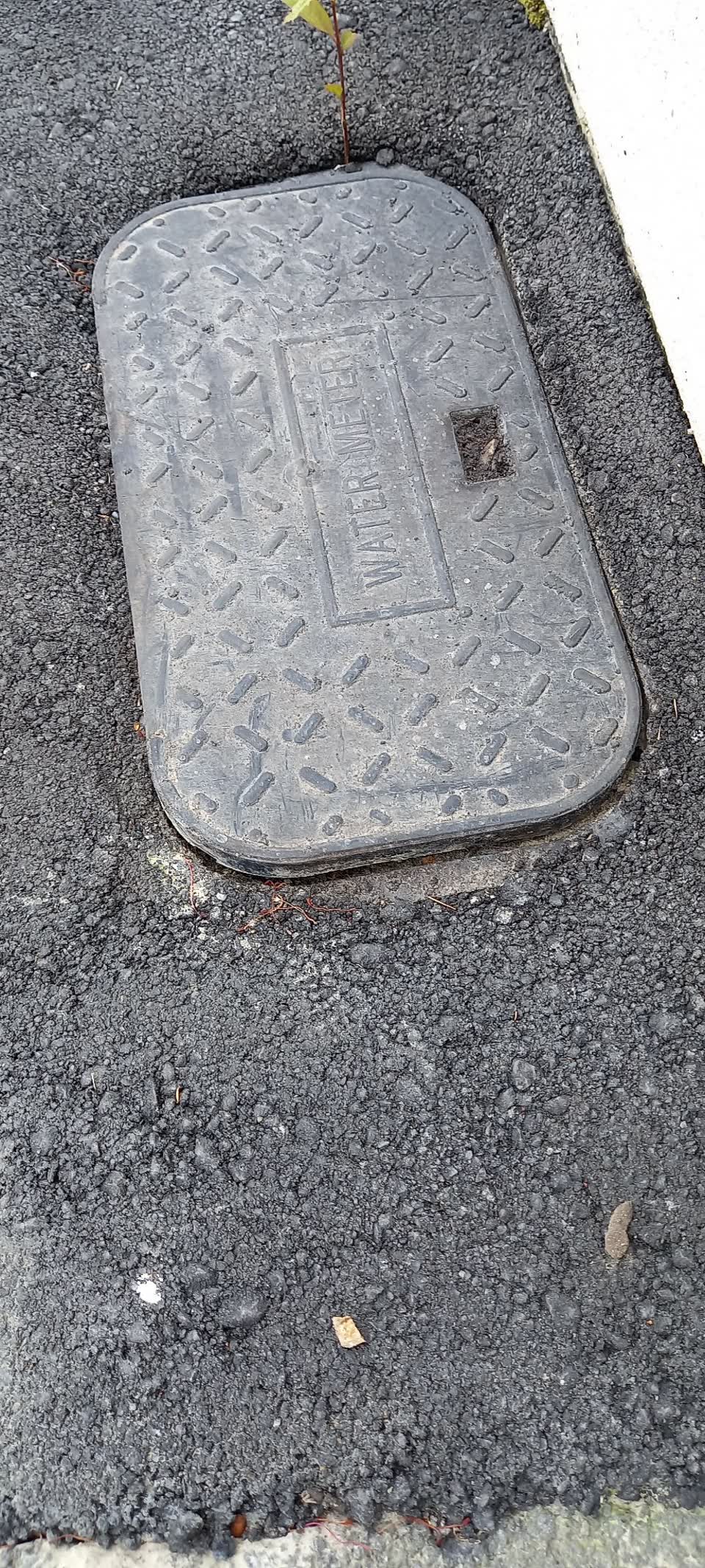 The photograph attached to this water supply report