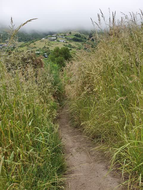 Parks, a report photo